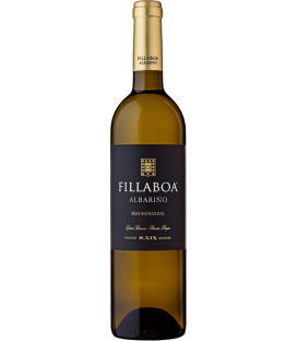 More about Fillaboa 2019