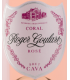 Roger Goulart Coral Rose 2018