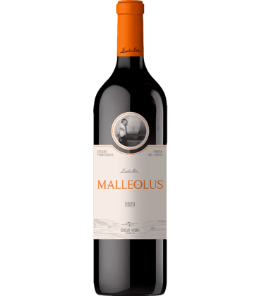 Malleolus 2020