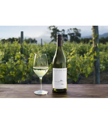 Cloudy Bay Sauvignon Blanc From New Zealand 2022
